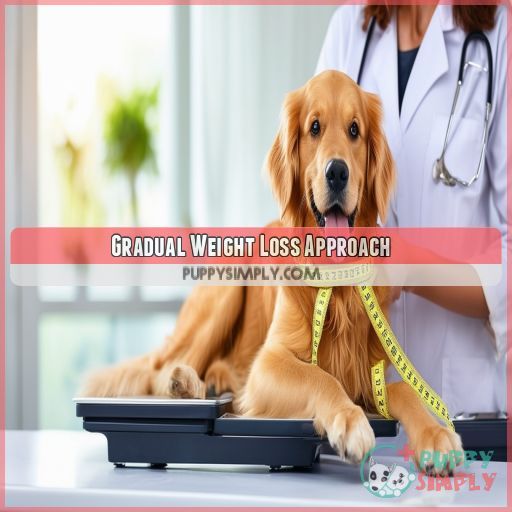 Gradual Weight Loss Approach