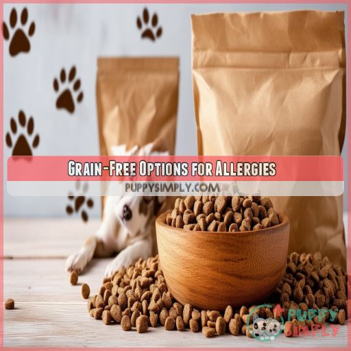 Grain-Free Options for Allergies