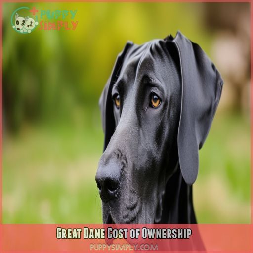 Great Dane Cost of Ownership