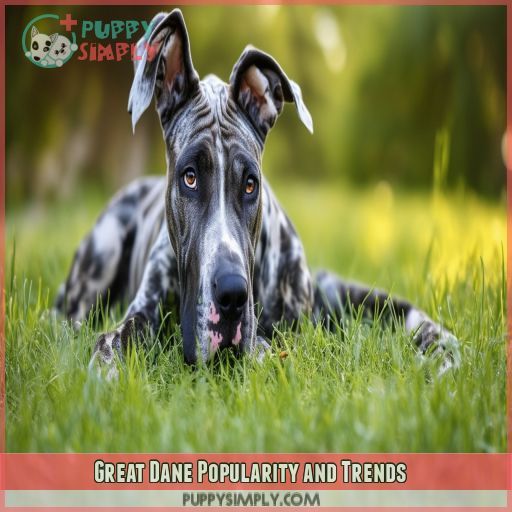 Great Dane Popularity and Trends