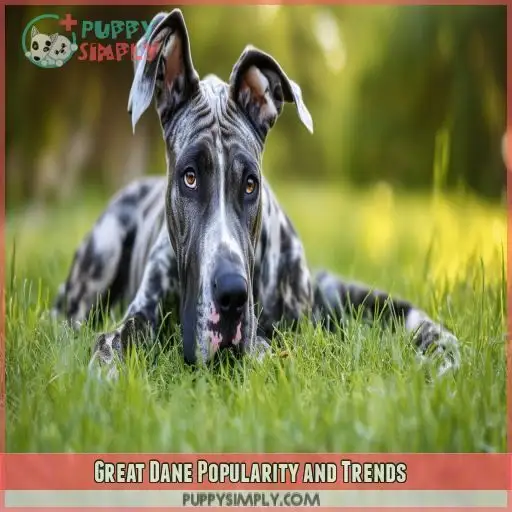 Great Dane Popularity and Trends Great Dane Popularity and Trends