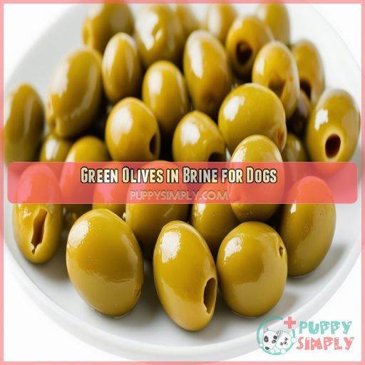 Green Olives in Brine for Dogs