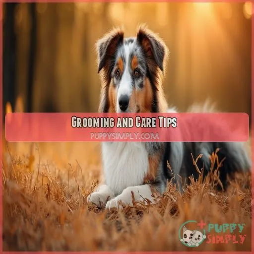 Grooming and Care Tips