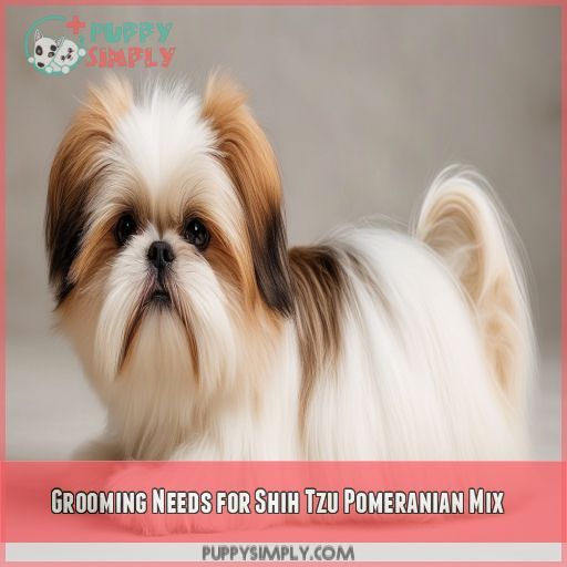 Grooming Needs for Shih Tzu Pomeranian Mix