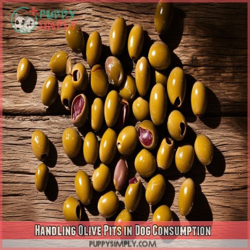 Handling Olive Pits in Dog Consumption