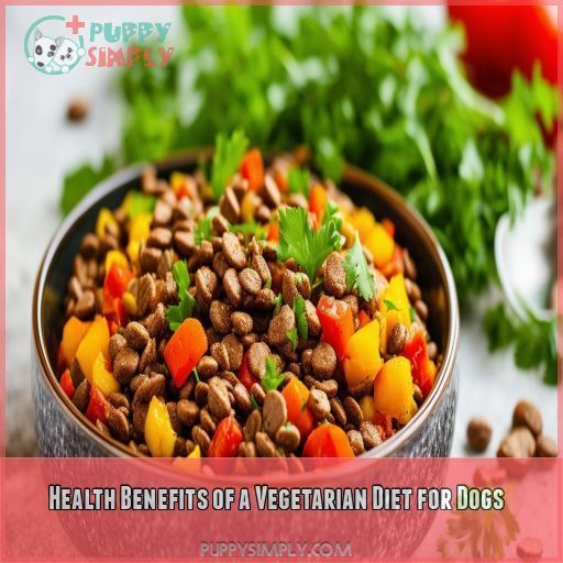 Health Benefits of a Vegetarian Diet for Dogs Health Benefits of a Vegetarian Diet for Dogs