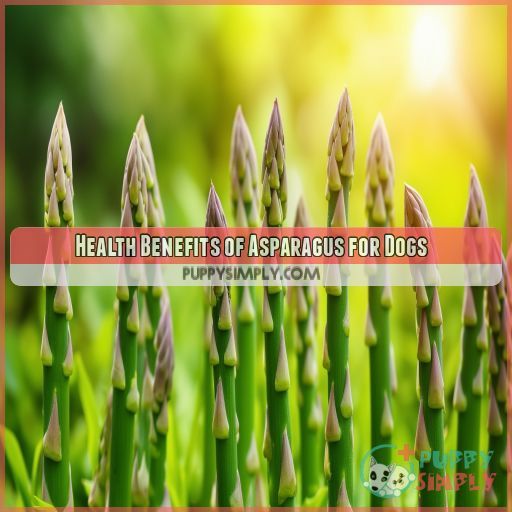 Health Benefits of Asparagus for Dogs