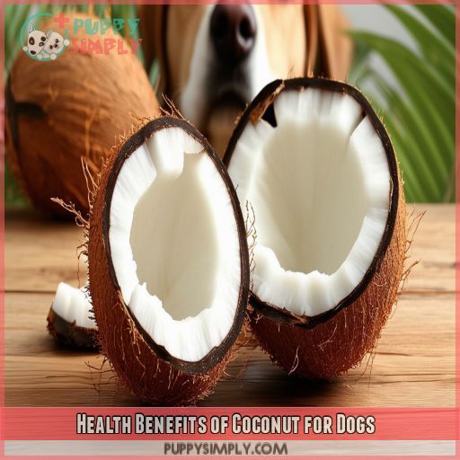 Health Benefits of Coconut for Dogs