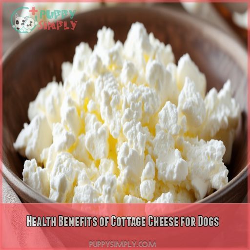 Health Benefits of Cottage Cheese for Dogs