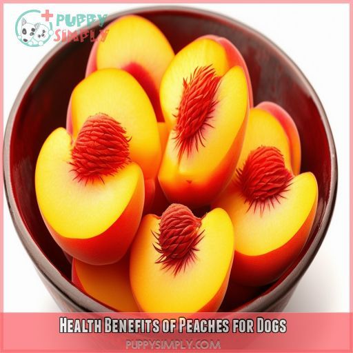 Health Benefits of Peaches for Dogs
