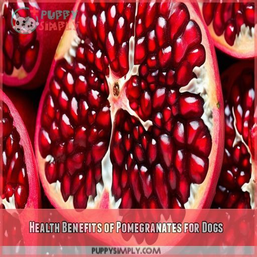 Health Benefits of Pomegranates for Dogs