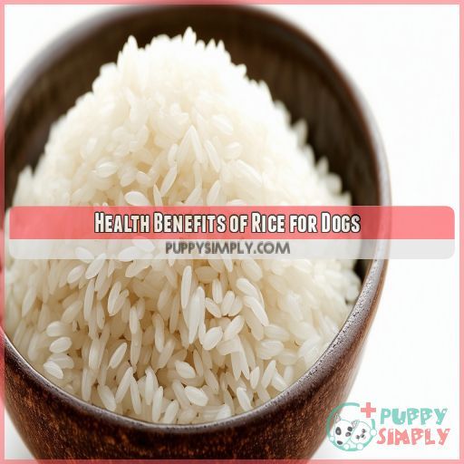 Health Benefits of Rice for Dogs