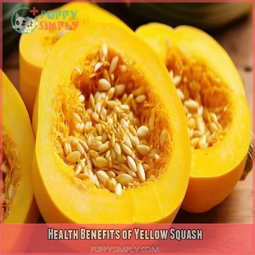 Health Benefits of Yellow Squash