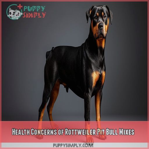 Health Concerns of Rottweiler Pit Bull Mixes