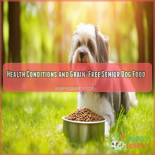 Health Conditions and Grain-Free Senior Dog Food