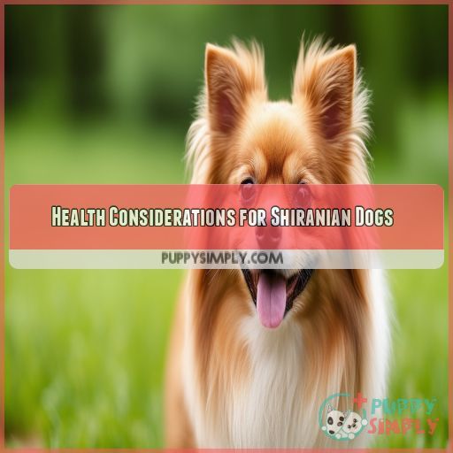 Health Considerations for Shiranian Dogs