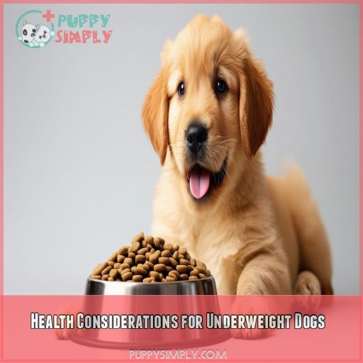 Health Considerations for Underweight Dogs