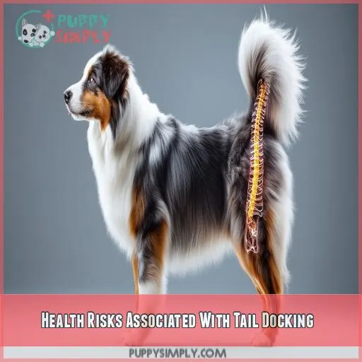 Health Risks Associated With Tail Docking