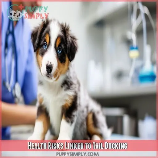 Health Risks Linked to Tail Docking