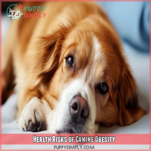 Health Risks of Canine Obesity