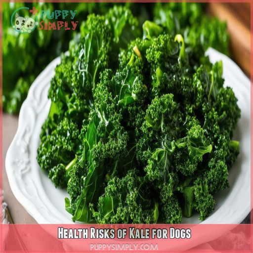 Health Risks of Kale for Dogs
