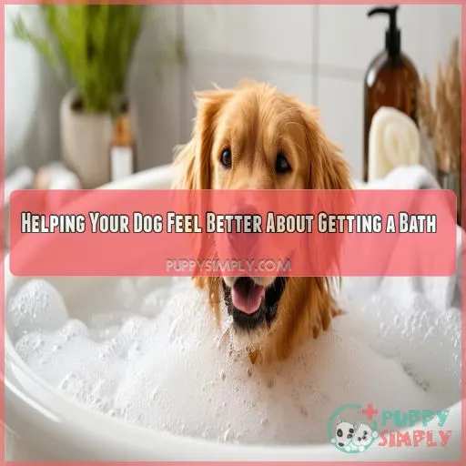 Helping Your Dog Feel Better About Getting a Bath