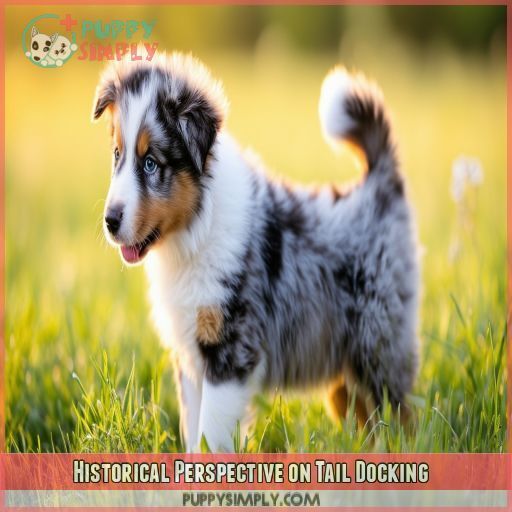 Historical Perspective on Tail Docking Historical Perspective on Tail Docking
