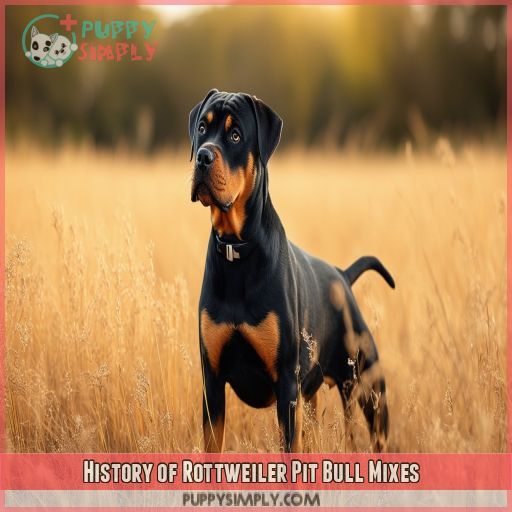 History of Rottweiler Pit Bull Mixes
