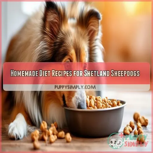 Homemade Diet Recipes for Shetland Sheepdogs