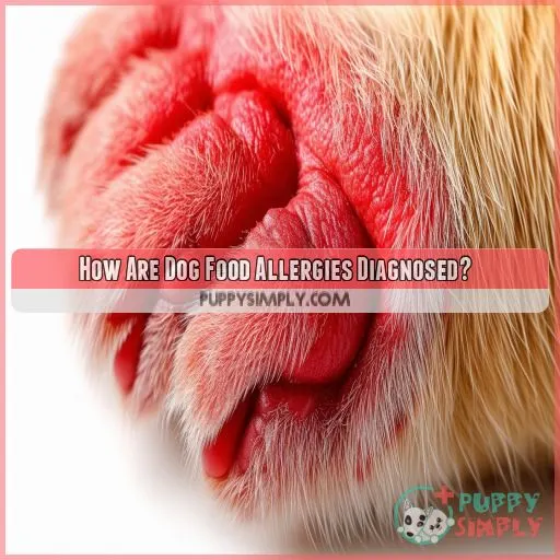 How Are Dog Food Allergies Diagnosed