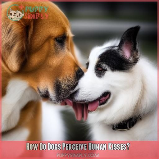 How Do Dogs Perceive Human Kisses