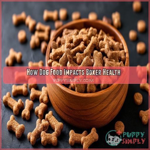 How Dog Food Impacts Boxer Health