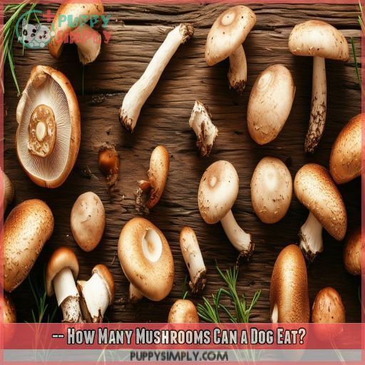 -- How Many Mushrooms Can a Dog Eat