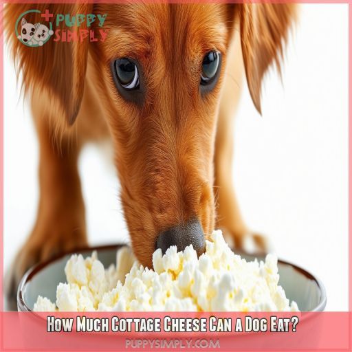 How Much Cottage Cheese Can a Dog Eat