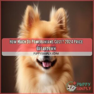 how much do pomeranians cost