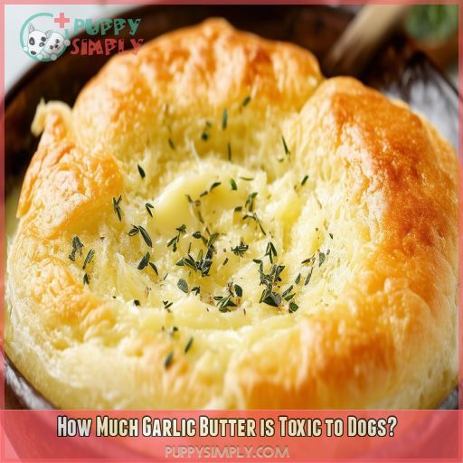 How Much Garlic Butter is Toxic to Dogs