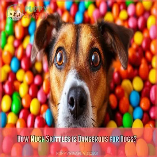 How Much Skittles is Dangerous for Dogs