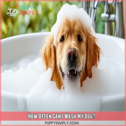 How Often Can I Wash My Dog