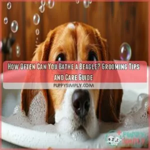 how often can you bathe a beagle