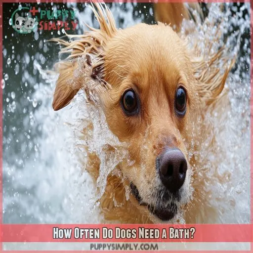 How Often Do Dogs Need a Bath