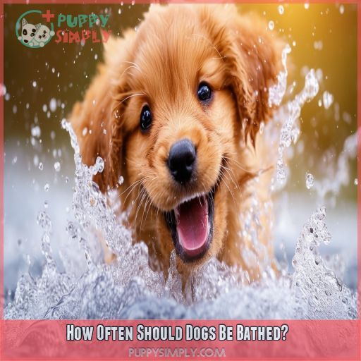 How Often Should Dogs Be Bathed