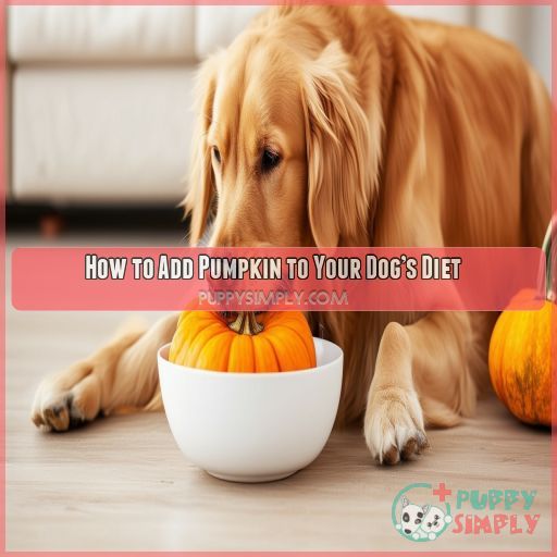 How to Add Pumpkin to Your Dog’s Diet