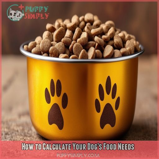 How to Calculate Your Dog’s Food Needs