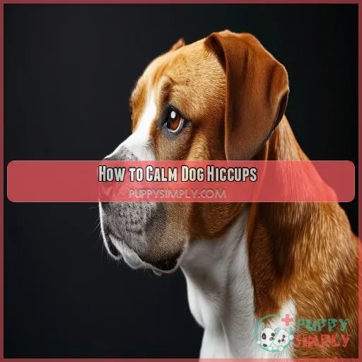 How to Calm Dog Hiccups