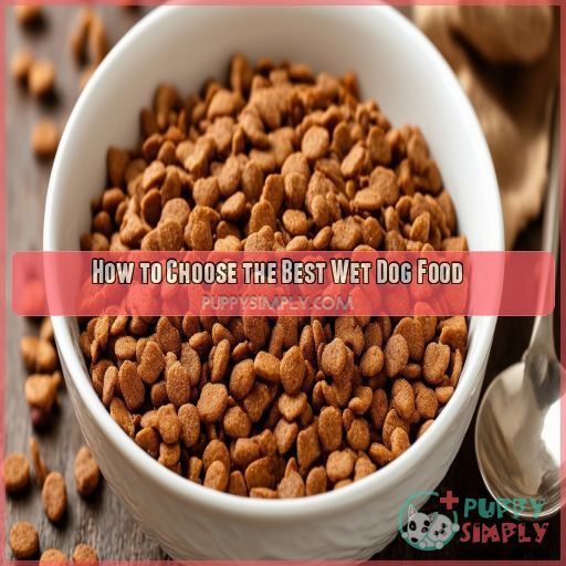 How to Choose the Best Wet Dog Food