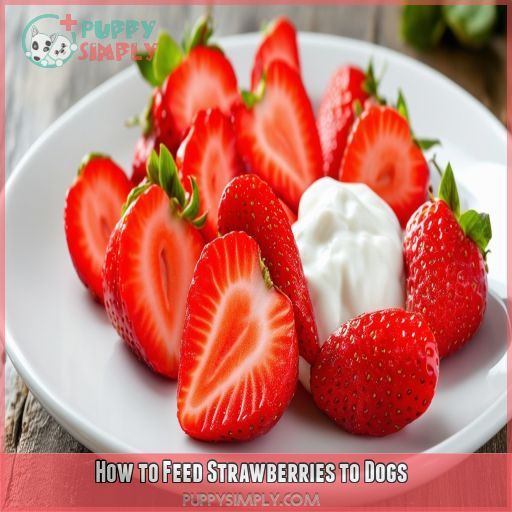 How to Feed Strawberries to Dogs