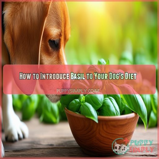 How to Introduce Basil to Your Dog