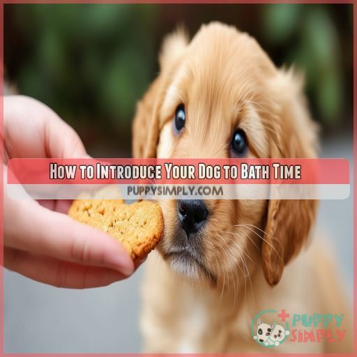 How to Introduce Your Dog to Bath Time How to Introduce Your Dog to Bath Time