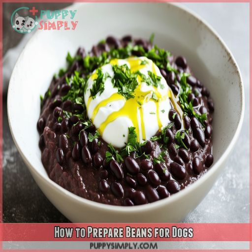 How to Prepare Beans for Dogs
