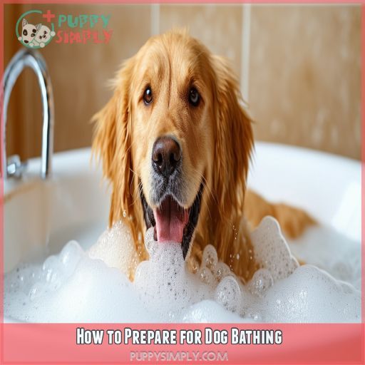 How to Prepare for Dog Bathing